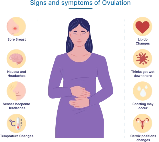 Signs of Ovulation